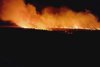 Incendiu de vegetaţie devastator în apropiere de Penitenciarul Poarta Albă, în județul Constanța 847317