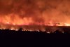 Incendiu de vegetaţie devastator în apropiere de Penitenciarul Poarta Albă, în județul Constanța 847325
