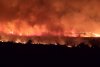 Incendiu de vegetaţie devastator în apropiere de Penitenciarul Poarta Albă, în județul Constanța 847326