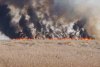 Incendiu masiv în apropiere de Bucureşti: Ard 10 hectare de vegetaţie. A fost emis mesaj Ro-Alert 847205