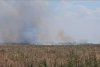 Incendiu masiv în apropiere de Bucureşti: Ard 10 hectare de vegetaţie. A fost emis mesaj Ro-Alert 847207
