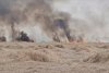 Incendiu masiv în apropiere de Bucureşti: Ard 10 hectare de vegetaţie. A fost emis mesaj Ro-Alert 847209