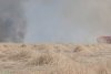 Incendiu masiv în apropiere de Bucureşti: Ard 10 hectare de vegetaţie. A fost emis mesaj Ro-Alert 847215