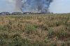 Incendiu masiv în apropiere de Bucureşti: Ard 10 hectare de vegetaţie. A fost emis mesaj Ro-Alert 847217