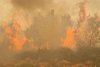 Pompierii români luptă să stingă cele peste 80 de incendii care mistuie Grecia  847366