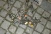 Participanții unui festival, loviți cu ouă crude, la Sibiu: "Gălbenușul s-a împrăștiat pe invitați" 848355
