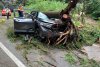 Copac căzut peste o mașină aflată în mers, pe Transalpina: Una dintre victime a murit, după ce martorii s-au chinuit să o resusciteze 848857