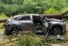 Copac căzut peste o mașină aflată în mers, pe Transalpina: Una dintre victime a murit, după ce martorii s-au chinuit să o resusciteze 848858