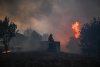 Incendiu uriaș în parcul natural Sintra-Cascais din Portugalia! Peste 600 de pompieri intervin la fața locului 848735