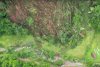 "Ferească-ne Dumnezeu!": O tornadă a nimicit o pădure din Munții Apuseni 848955
