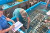 Oamenii de știință din Florida scot mostre de corali din ocean pentru a-i salva. Apa mult prea caldă le aduce sfârşitul  849927