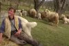 ”E atâta de greu printre străini” Ionuț a ales să revină în satul natal, în Mureș, pentru a crește oi, după ce a muncit din greu în Germania 852695