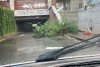 Vijeliile au făcut prăpăd în mai multe zone din ţară. Bucureştiul, blocat din cauza inundaţiilor 855479
