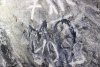 Imagini cu un labirint fascinant de peșteri, descoperit de speologi în Munţii Apuseni 855982
