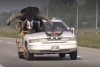 Un bărbat şi-a modificat maşina pentru a transporta un taur. Poliţiştii de la Rutieră au rămas cu gura căscată 855857