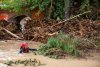 Un băiețel de 10 ani a stat o noapte întreagă într-un copac, pentru a se salva de inundațiile din Spania. Tatăl copilului, de negăsit 856555