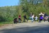 Turiști români, la un pas să fie sfâșiați de un urs, pe Transfăgărășan. Și-au dus copiii să își facă poze cu animalul 861249