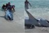 "Iubitule, uite-i dinții uriași!": Rechin salvat de mai mulți oameni pe o plajă. Imaginile au ajuns virale pe internet 861835