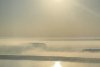 "Fierbe" Dunărea. Explicaţiile unui fenomen rar şi spectaculos 863708