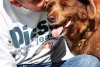 "Ce viață minunată ai avut". Bobi, cel mai bătrân câine din lume, a murit la vârsta de 31 de ani și 5 luni. A intrat în cartea recordurilor 865238