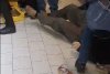 "Stai domnule, ești nebun la cap?". Zeci de oameni s-au călcat în picioare pentru cașcaval la preț redus, în Suceava. Imaginile au devenit virale 865233