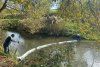 Râul Cibin din Sibiu a fost poluat cu produs petrolier | Anunţul făcut de Apele Române 865756