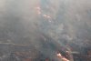 Incendiu puternic pe Valea Doftanei, în Prahova! Ard 12.000 de mp de pădure, lângă Barajul Paltinu 866539