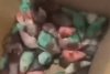 Zeci de șoareci vopsiți în culorile Palestinei, aruncați într-un restaurant McDonald's, plin cu clienți, din Marea Britanie 866598