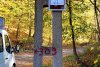 "Stejarul de 1.000 de ani” din România are traseul marcat: "Mulţumim, mulți își doreau să ajungă acolo, dar nu știau cum" 866900
