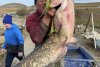 Somn de 24 de kilograme, capturat de un pescar clujean pe Lacul Filea Mare | Preţul la care a decis să-l vândă 867338