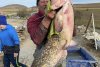 Somn de 24 de kilograme, capturat de un pescar clujean pe Lacul Filea Mare | Preţul la care a decis să-l vândă 867339