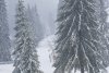 Ninge la munte! Strat gros de zăpadă, depus în mai multe zone | Peisaje de poveste surprinse de salvamontiști 868783