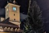 Bradul de Crăciun, adus cu o adevărată desfăşurare de forţe în Piaţa Sfatului din Braşov | "Are 73 de ani şi 23,5 de metri înălţime" 869528
