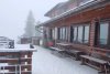 Ninge la munte! Imagini de poveste cu zăpada care s-a așternut în Poiana Brașov 869631