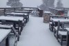 Ninge la munte! Imagini de poveste cu zăpada care s-a așternut în Poiana Brașov 869632