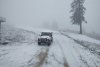 Ninge la munte! Imagini de poveste cu zăpada care s-a așternut în Poiana Brașov 869633