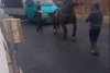 Cal chinuit şi forţat să tragă o autoutilitară, în Sighetu Marmaţiei, pentru o filmare postată pe TikTok 869803