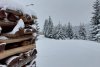 Ninge ca în povești în Harghita! "Am deschis sezonul de schi la Mădăraș" 870032