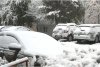 Urgia albă a lovit România | Vântul puternic și viscolul au doborât mai mulți copaci, iar mașinile au rămas blocate în nămeți  870053