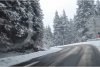Urgia albă a lovit România | Vântul puternic și viscolul au doborât mai mulți copaci, iar mașinile au rămas blocate în nămeți  870057