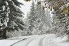 Staţiunile de la munte, pline cu turişti în primul weekend cu zăpadă: "Avem pârtie pregătită" 870130
