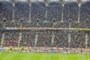 Zeci de petarde ascunse în diferite zone ale unei tribune, înaintea meciului România - Elveția 870491