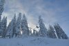 Pârtiile se redeschid după ninsorile abundente din ultimele zile | Mii de turiști au luat cu asalt stațiunile montane 874127