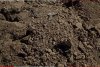 Încă o dronă a căzut în România, după bombardamente. MApN: "S-a format un crater de 1,5 metri" 875109