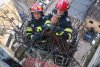 Un copac a crescut pe fațada unui bloc din Giurgiu, la etajul opt al clădirii. Locatarii au cerut ajutorul pompierilor 875922