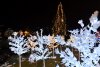 Inițiativă unică în București: Primăria Sectorului 6 a îndemnat locuitorii să împodobească brazi, ce vor ajunge în casele a șase familii nevoiașe, în Ajunul Crăciunului 876899