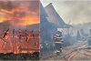 Surse: Ipoteza poliţiştilor în cazul incendiului de la Ferma Dacilor, din Tohani. Şapte oameni au murit în tragedie 877619