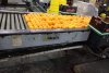 Legume și fructe mucegăite, găsite în depozite din Ilfov. Comisarii ANPC au aplicat amenzi de 15.000 de lei  880433