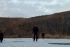 Lacul Zebil din Tulcea, transformat în patinoar de vremea rece 880617