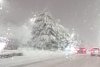 Tramvaie deraiate și circulație îngreunată în București, din cauza ninsorii. Autoritățile nu au deszăpezit străzile | Rareș Hopincă: ”Utilajele vor interveni după ce ninsoarea se oprește” 881909